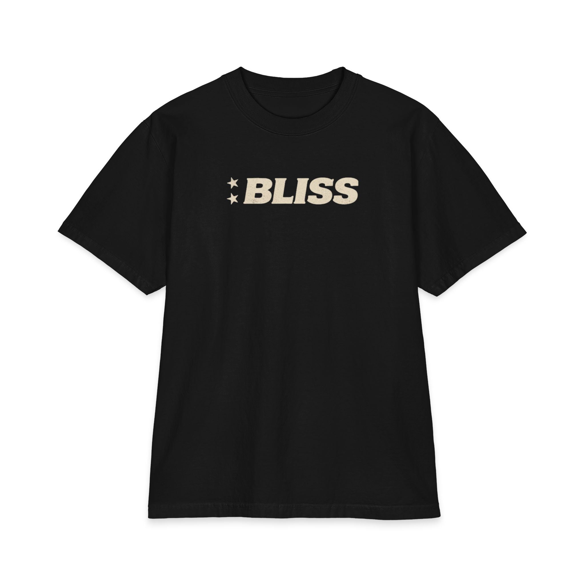 Unisex Max Heavyweight Short Sleeve