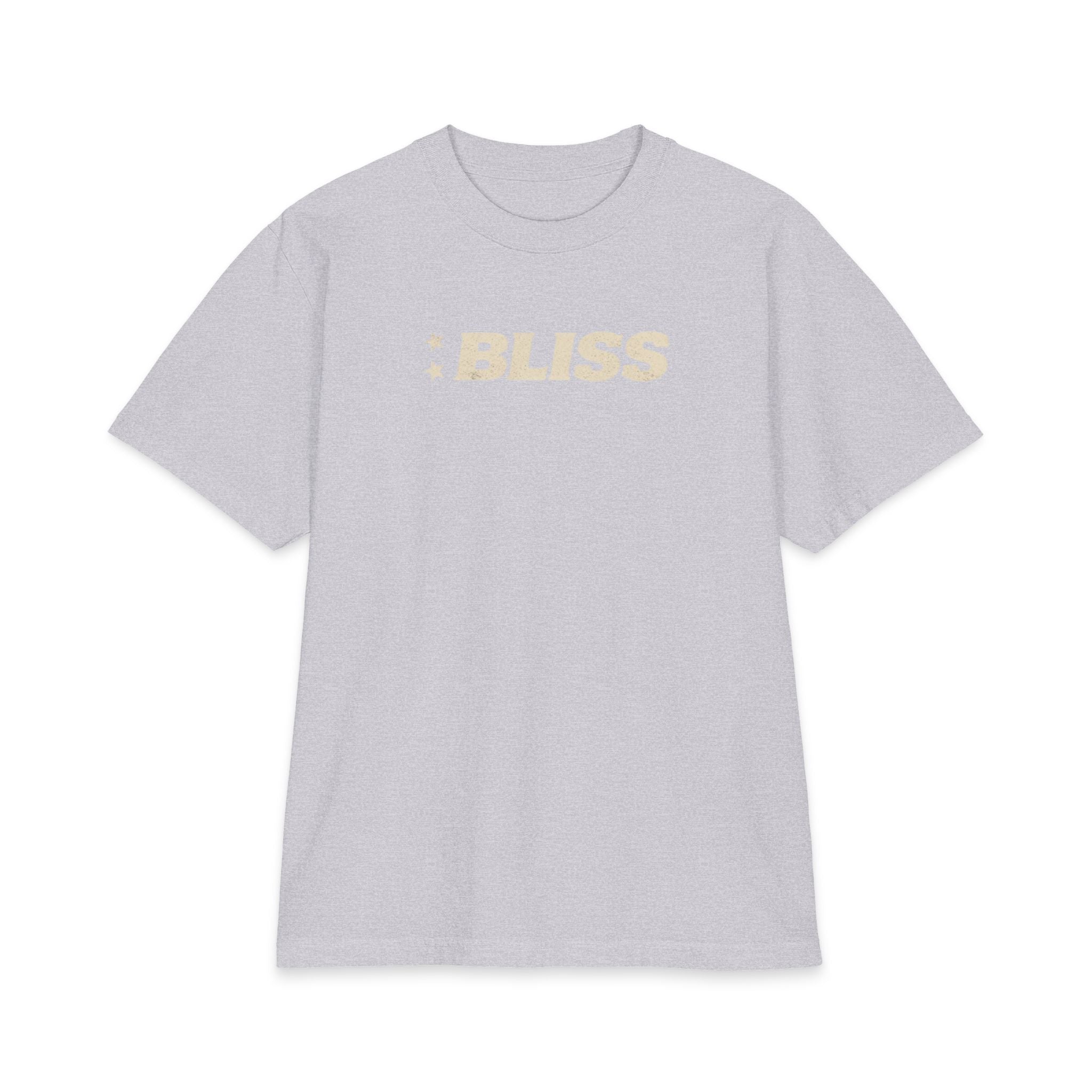 Unisex Max Heavyweight Short Sleeve