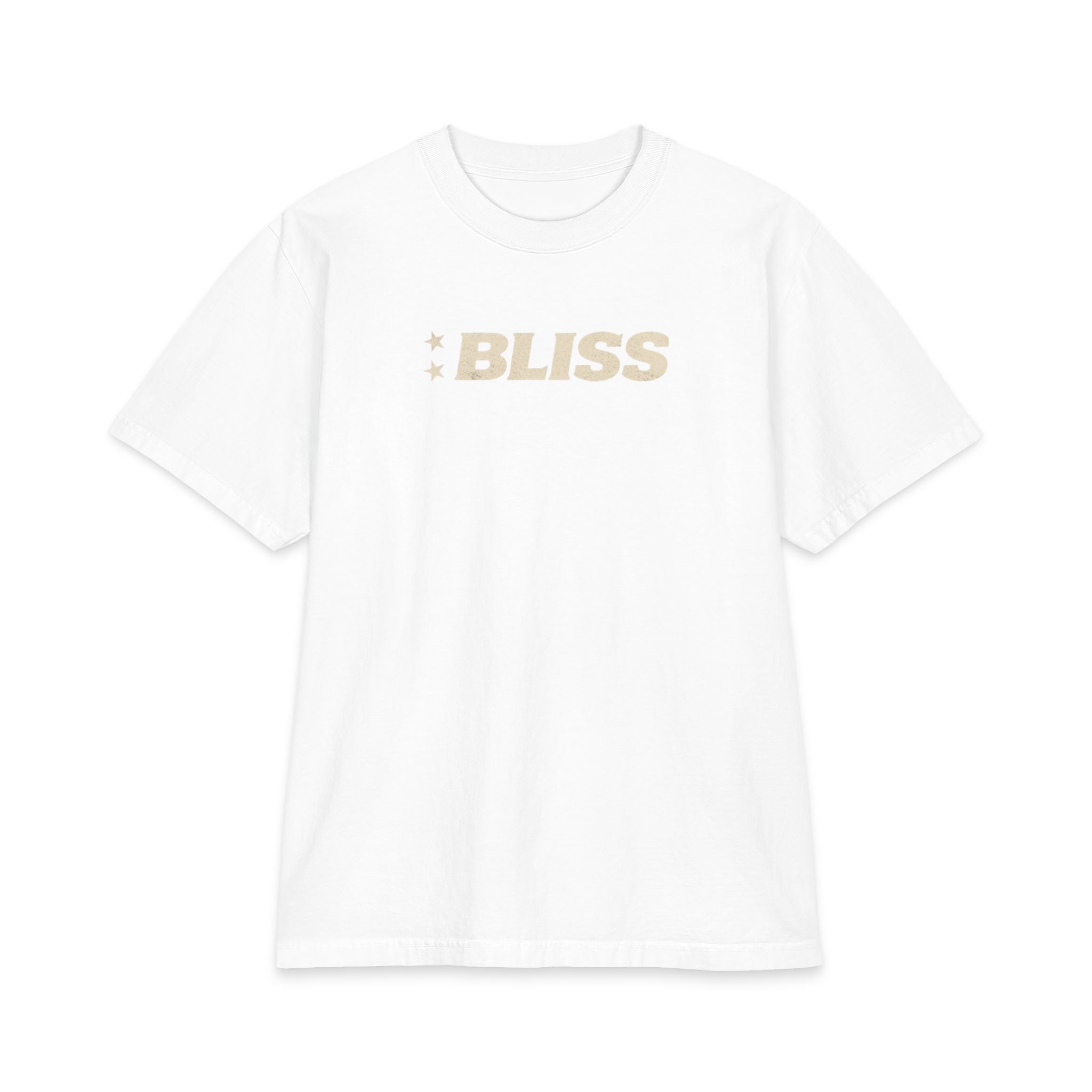 Unisex Max Heavyweight Short Sleeve